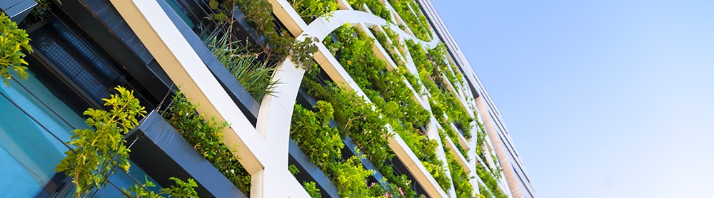 green building concept representing sustainability green building concept representing sustainability