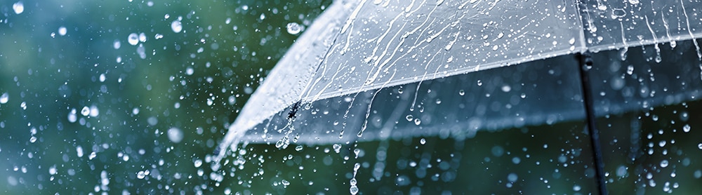 Disaster Recovery Disaster Recovery