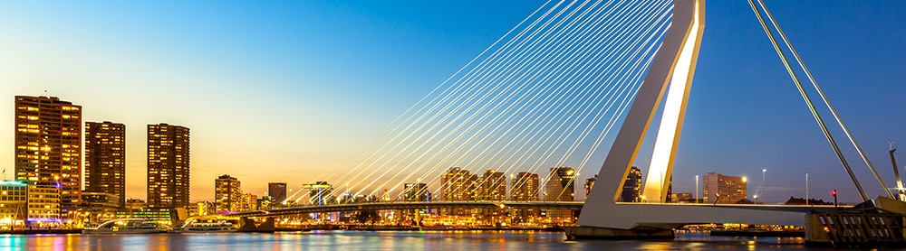 View of Erasmus Bridge Rotterdam View of Erasmus Bridge Rotterdam