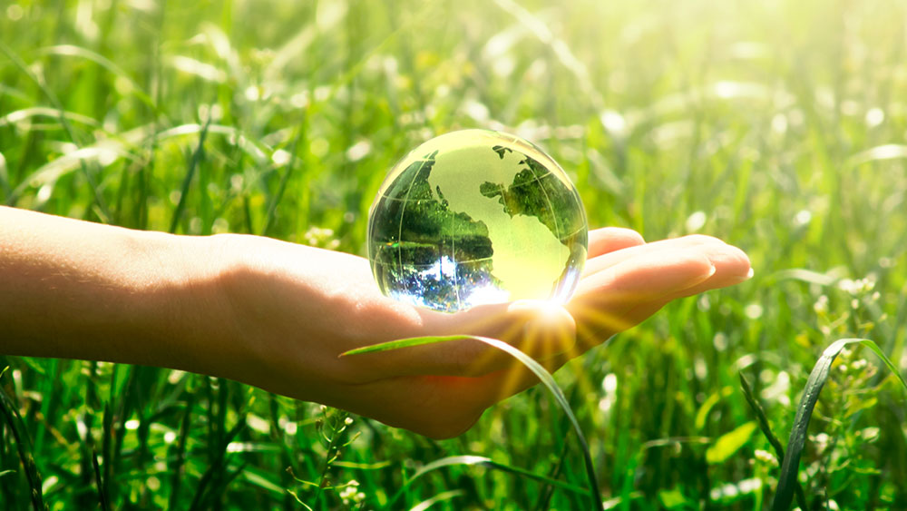 Female hand holding a transparent globe in the middle of a grass meadow in the full sunshine Female hand holding a transparent globe in the middle of a grass meadow in the full sunshine