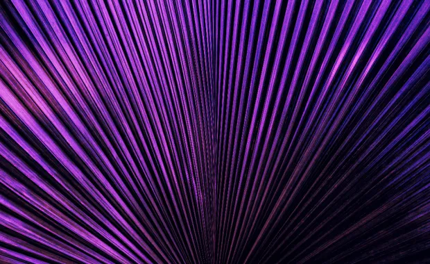 purple lines abstract