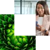 AI cornerstone, green plant, CEO on a mobile device AI cornerstone, green plant, CEO on a mobile device