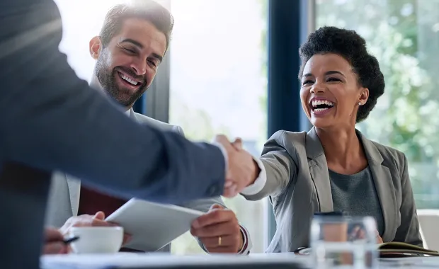 Business professionals handshake each other