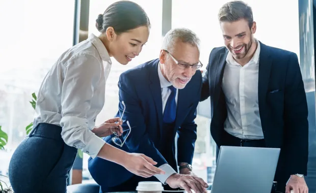 Consultants looking at a laptop