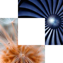 Cornerstone image of plant and propeller Cornerstone image of plant and propeller