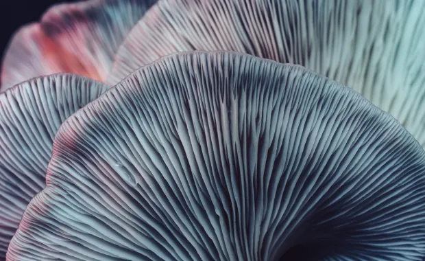 Why AI is more than generative AI 