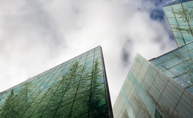 trees reflected in office buildings