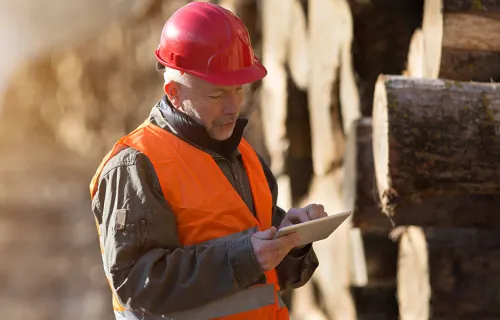 CGI and Forestry England partner to deliver eTimber