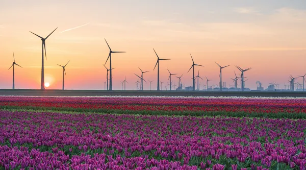 central market solutions