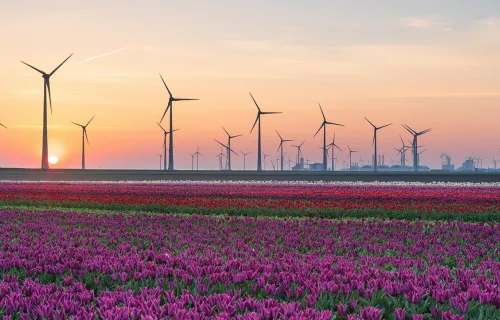 central market solutions