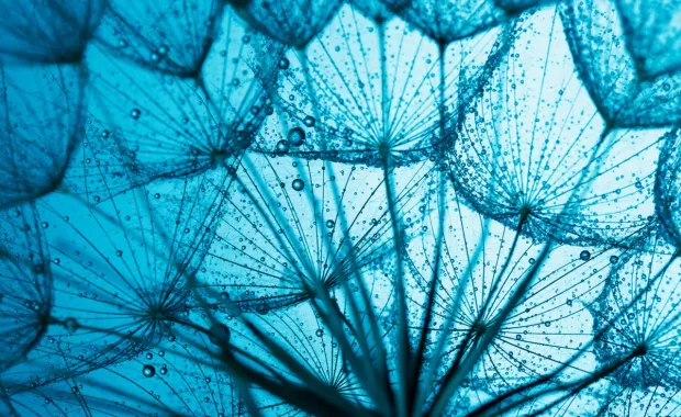 water droplet abstract