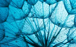 water droplet abstract