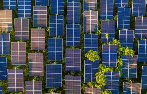 Supporting a leading North American financial institution in reducing its IT carbon footprint